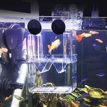 Amazon | ANGAOU® 多機能 魚 繁殖隔離ボックス 水槽 孵化 産卵箱